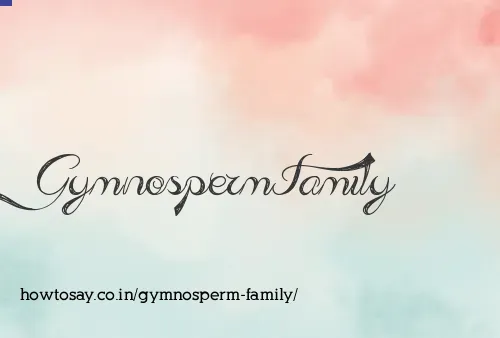 Gymnosperm Family