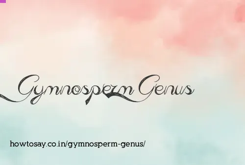 Gymnosperm Genus