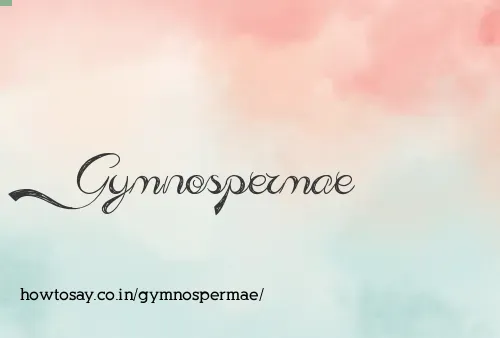 Gymnospermae