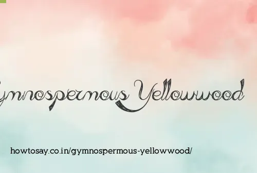 Gymnospermous Yellowwood