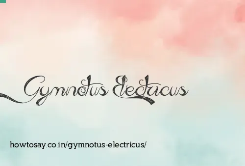 Gymnotus Electricus