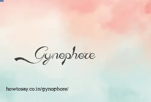 Gynophore