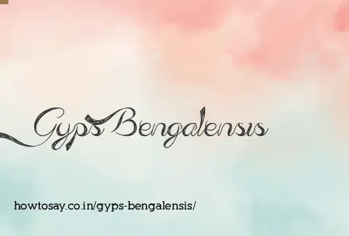 Gyps Bengalensis