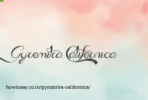 Gyromitra Californica