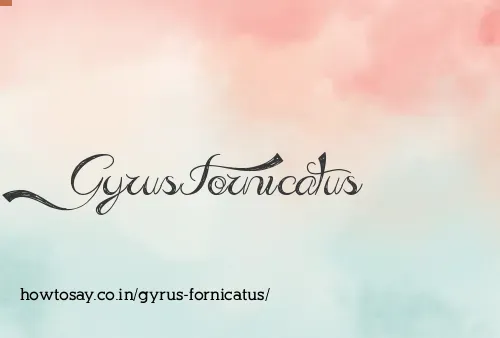 Gyrus Fornicatus