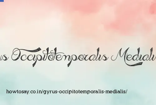 Gyrus Occipitotemporalis Medialis
