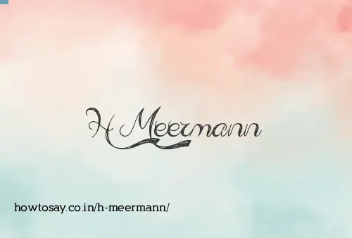H Meermann