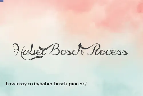 Haber Bosch Process