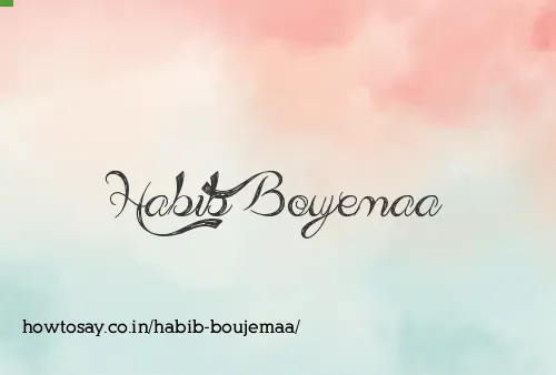 Habib Boujemaa