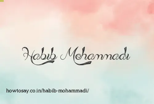 Habib Mohammadi
