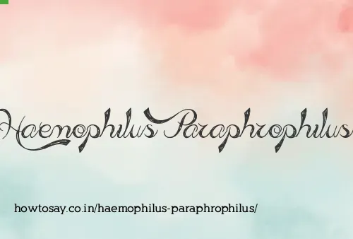Haemophilus Paraphrophilus