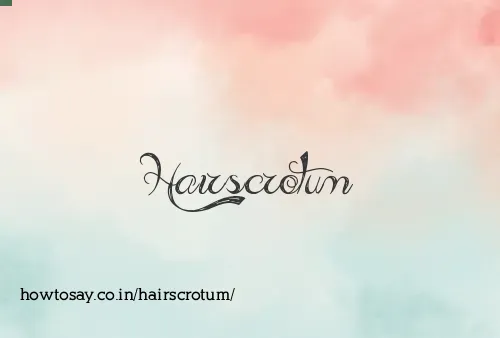 Hairscrotum