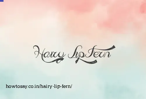 Hairy Lip Fern