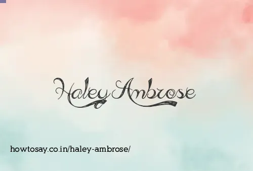 Haley Ambrose