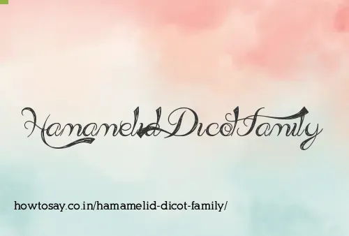 Hamamelid Dicot Family