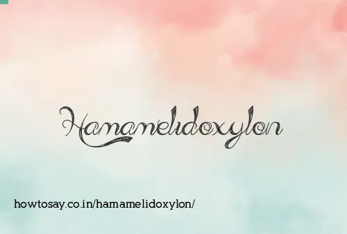 Hamamelidoxylon