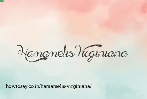 Hamamelis Virginiana