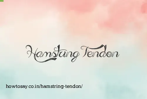Hamstring Tendon