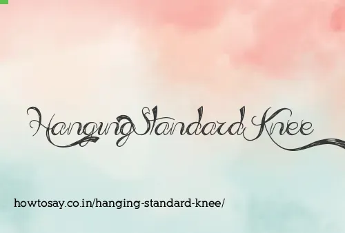 Hanging Standard Knee
