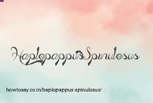 Haplopappus Spinulosus