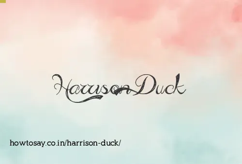 Harrison Duck