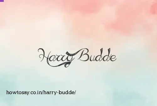 Harry Budde