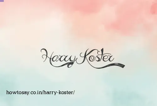 Harry Koster