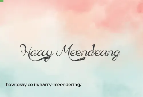 Harry Meendering