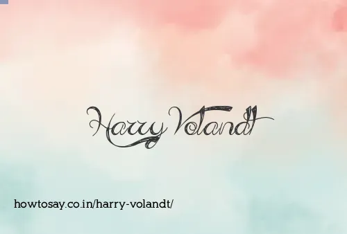 Harry Volandt