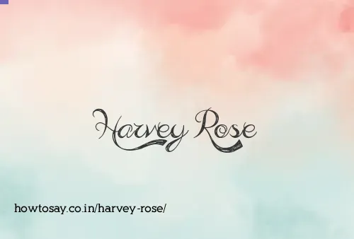 Harvey Rose