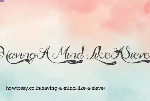 Having A Mind Like A Sieve