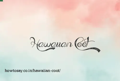 Hawaiian Coot