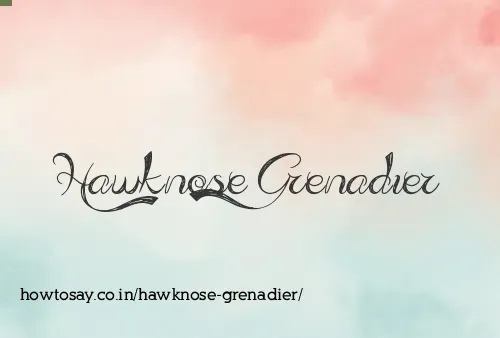 Hawknose Grenadier