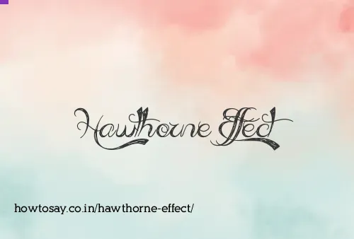 Hawthorne Effect