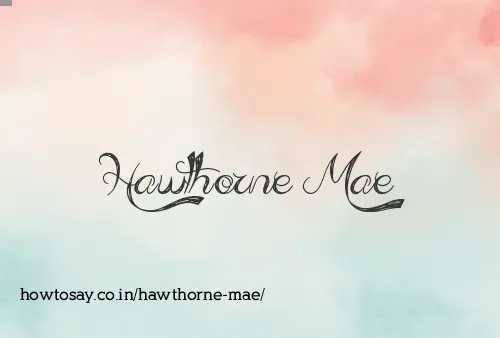 Hawthorne Mae