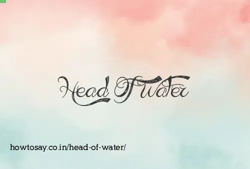 Head Of Water