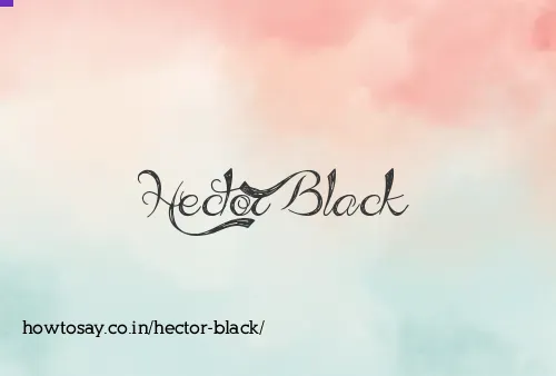 Hector Black