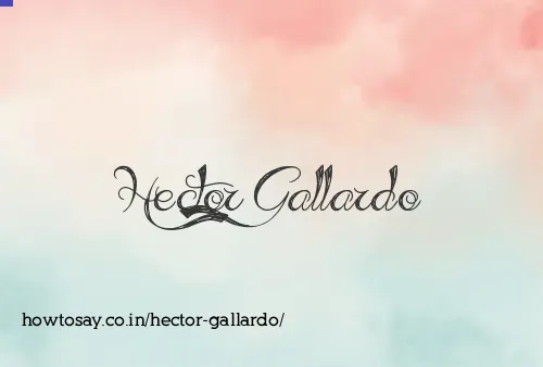Hector Gallardo
