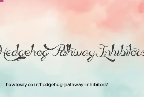 Hedgehog Pathway Inhibitors