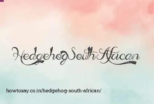 Hedgehog South African