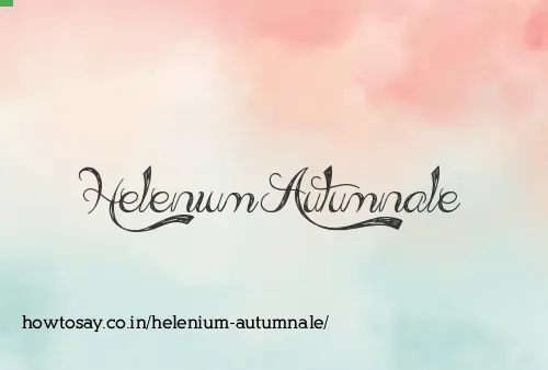 Helenium Autumnale