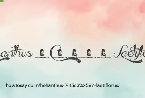 Helianthus × Laetiflorus