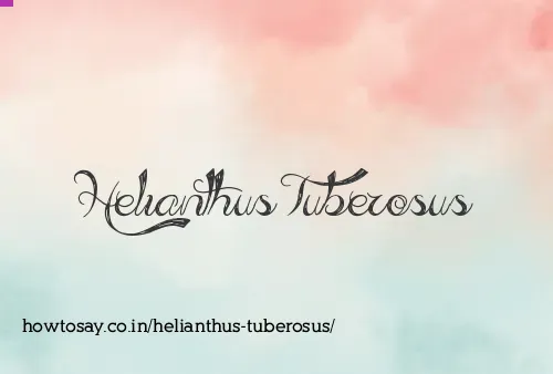 Helianthus Tuberosus