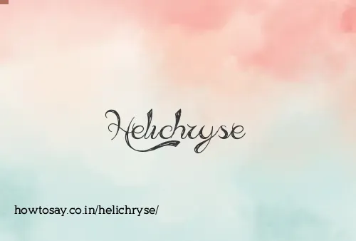 Helichryse