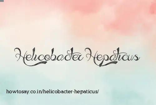 Helicobacter Hepaticus