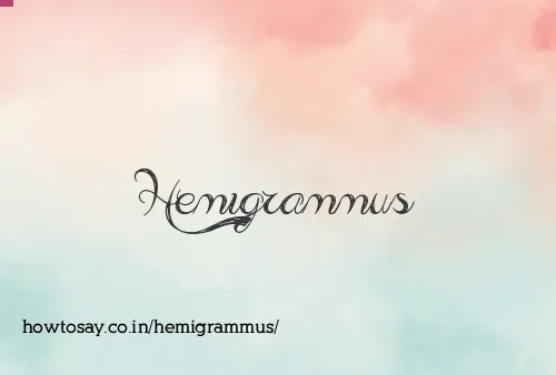 Hemigrammus