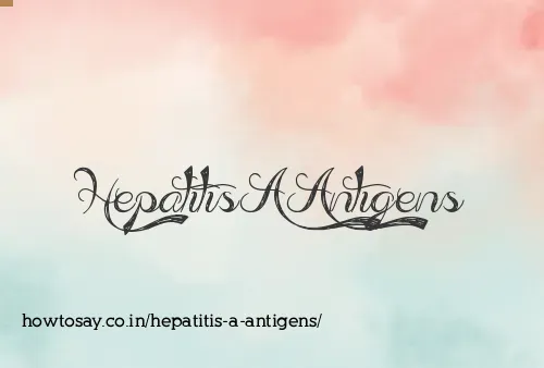 Hepatitis A Antigens