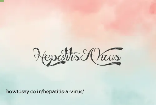 Hepatitis A Virus
