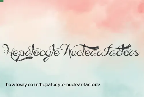 Hepatocyte Nuclear Factors