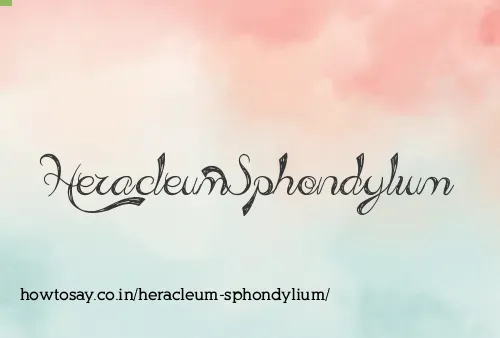 Heracleum Sphondylium